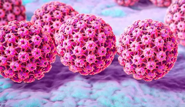 Virus del Papiloma Humano: qué es y cómo se trata - ROC Clinic