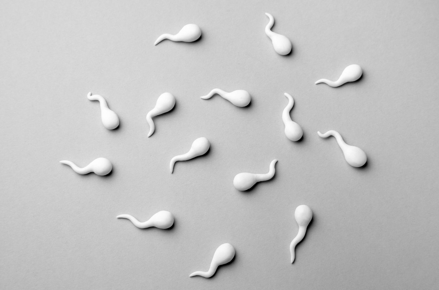 El seminograma o espermiograma es una prueba que sirve para evaluar la calidad del semen. Descubre cómo interpretar los resultados y cuándo repetirlo