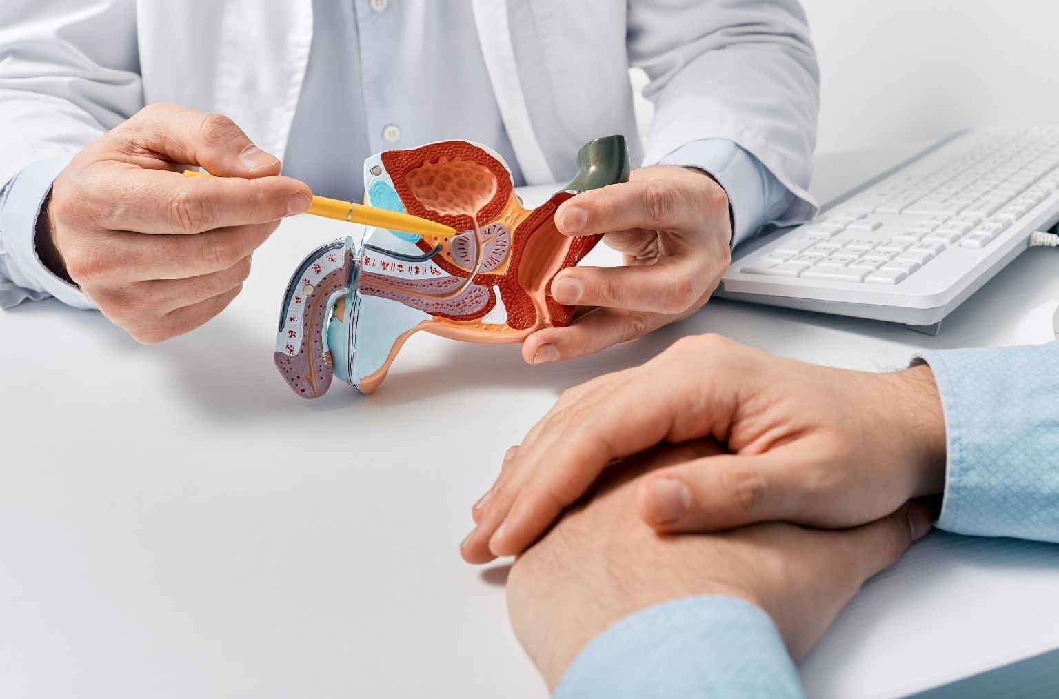Médico explicando la salud de la próstata a un paciente
