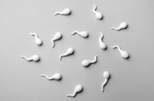 El seminograma o espermiograma es una prueba que sirve para evaluar la calidad del semen. Descubre cómo interpretar los resultados y cuándo repetirlo